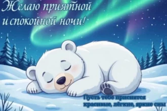 спокойной ночи