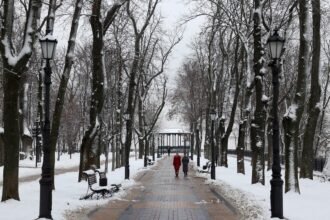 погода: синоптик