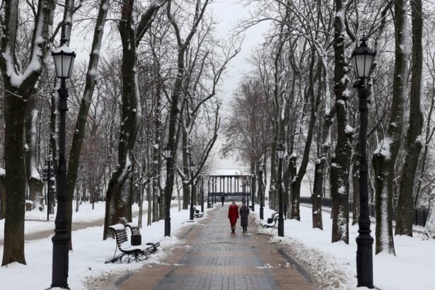 погода: синоптик