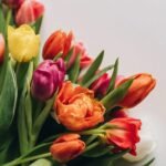 міжнародний жіночий день