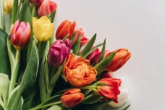 міжнародний жіночий день