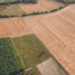 пошук за кадастровим номером